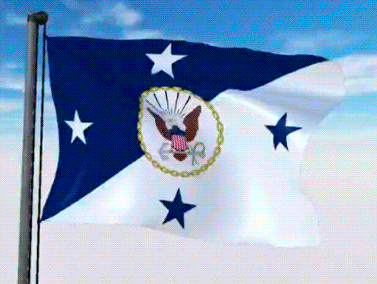 USA Military Flags GIFs