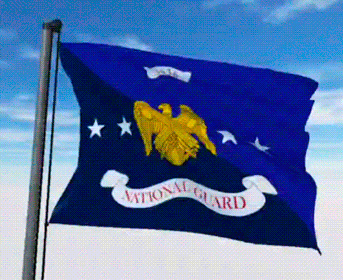 USA Military Flags GIFs