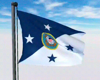 USA Military Flags GIFs