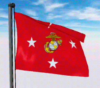 USA Military Flags GIFs