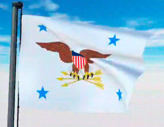 USA Military Flags GIFs