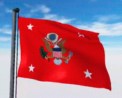 USA Military Flags GIFs