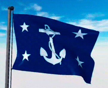 USA Military Flags GIFs