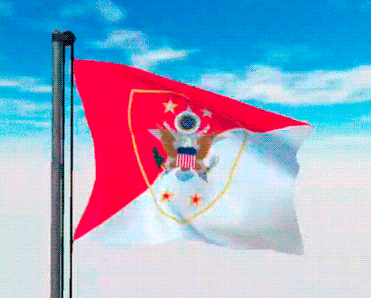 USA Military Flags GIFs