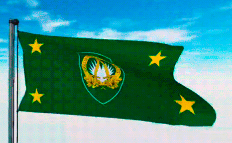 USA Military Flags GIFs