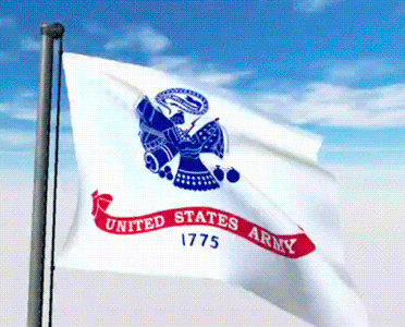 USA Military Flags GIFs