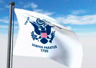 USA Military Flags GIFs