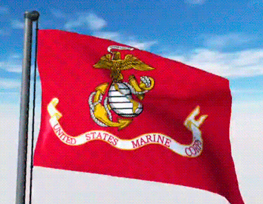 USA Military Flags GIFs