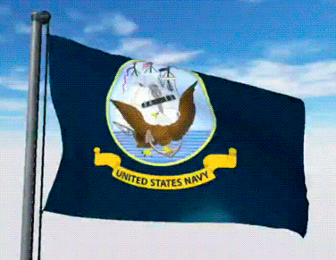 USA Military Flags GIFs