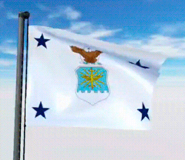 USA Military Flags GIFs