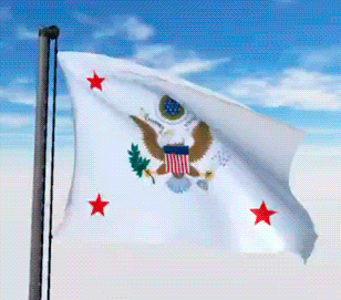 USA Military Flags GIFs
