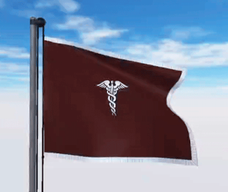 USA Military Flags GIFs