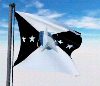 USA Military Flags GIFs