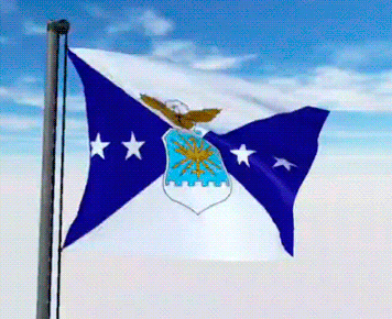 USA Military Flags GIFs