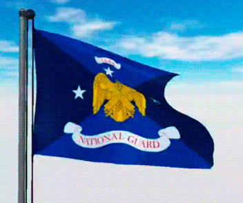 USA Military Flags GIFs