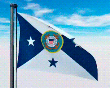 USA Military Flags GIFs