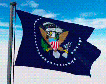USA Military Flags GIFs