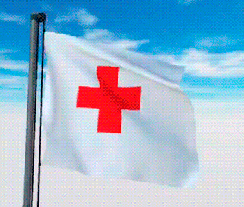 USA Military Flags GIFs