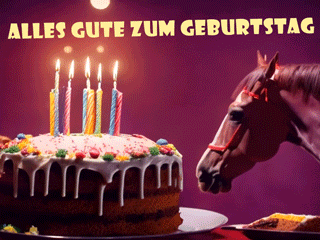 Alles Gute zum Geburtstag GIFs für Pferdeliebhaber