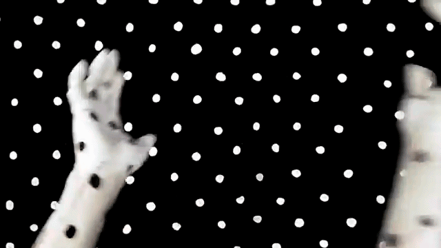 Angine de Poitrine GIFs