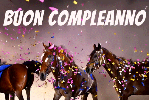 Buon Compleanno GIFs di cavalli