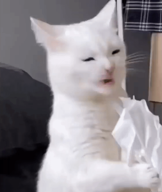 Angry Cat GIF - Angry Cat Fangs GIFs