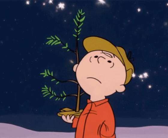 charlie-brown-christmas-beholding-glittering-stars-lights-usagif