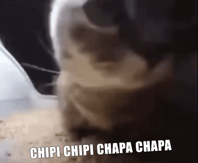Chipi Chipi Chapa Chapa Katze GIF-Bilder