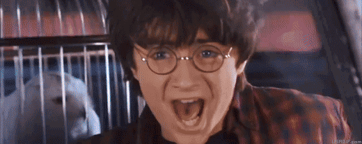 Harry Potter Universe GIF Collection