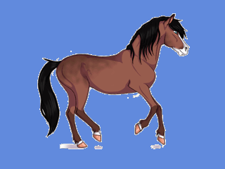Krásné koně na GIFych - Hřebci cvalu - Více než 130 GIF animací