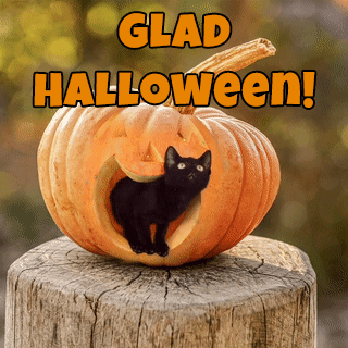 Glad Halloween GIF-Bilder