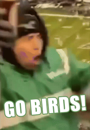 Go Birds GIFs