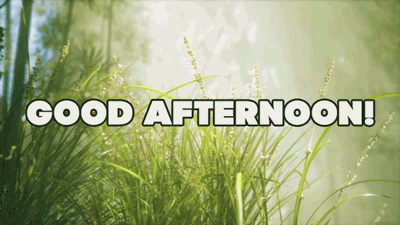 Good Afternoon GIFs