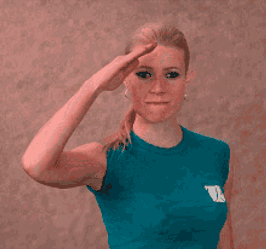 Military Salute GIFs