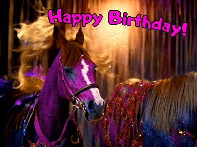 Happy Birthday Horse GIFs