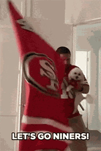 little-fluffy-fan-of-49ers-usagif