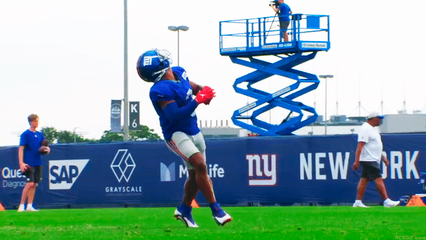 New York Giants GIFs