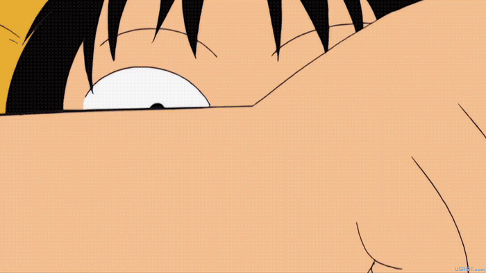 One Piece Anime GIFs
