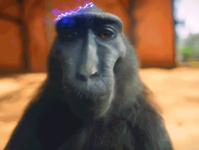 GIF di Scimmia Rizz - scimmia sorridente davanti alla camera