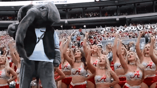 roll-tide-ua-cheerleaders-elephant-fans-support-roll-tide-usagif