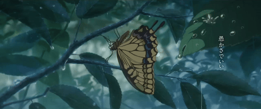suzume-s-locking-up-butterfly-in-rainy-forest-usagif