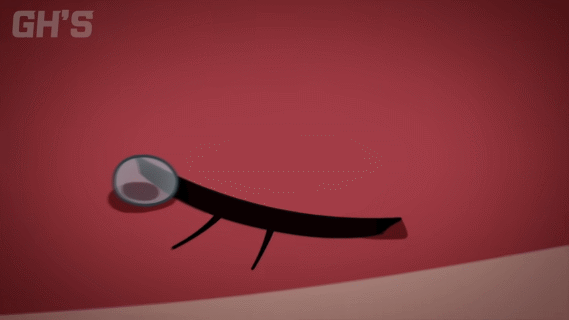 Steal a Brainrot GIFs