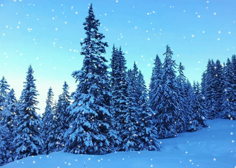 Piękne zimowe GIF-y