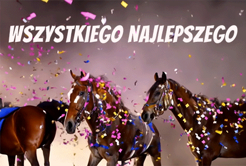 GIFy urodzinowe dla miłośników koni