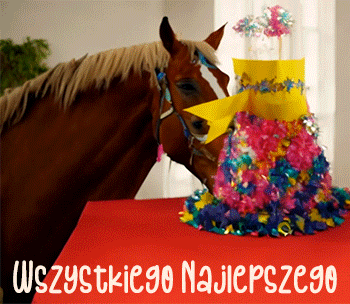 GIFy urodzinowe dla miłośników koni