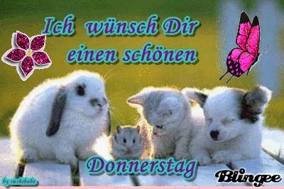 guten-morgen-donnerstag-38