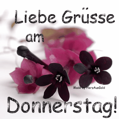 guten-morgen-donnerstag-47
