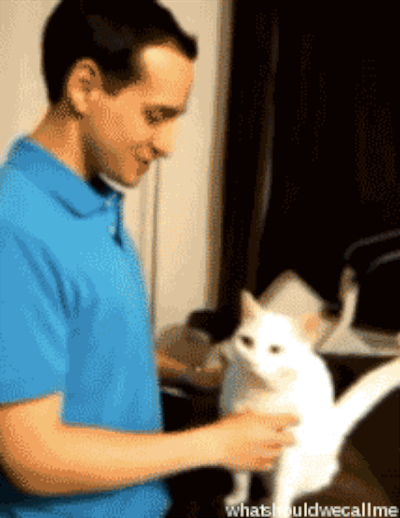 GIFs Hugs, Embraces - Big Collection! 50 Animated Pictures