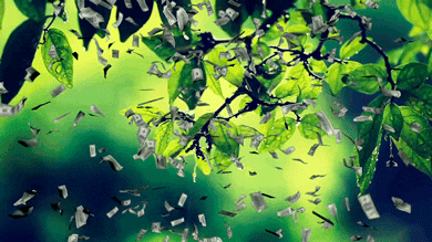 Lluvia de dinero GIFs - 50 imágenes animadas de dinero cayendo