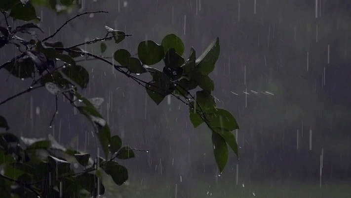 Le GIF con la pioggia